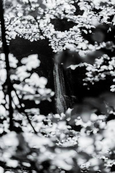 2018_05_07_Jura (0036_b-w).jpg - Cascades du Hérissons, Jura (Mai 2018)